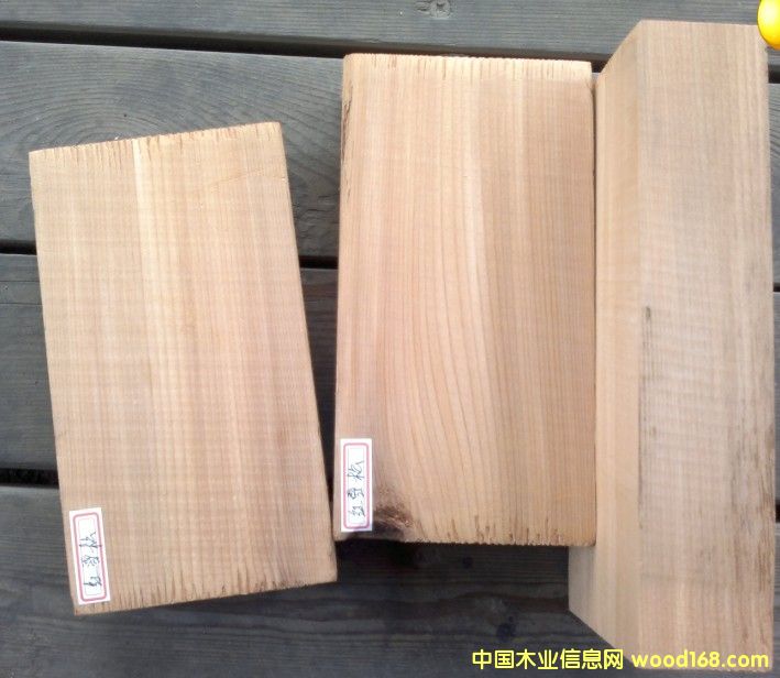 �tѩ�ɵ�Ԕ��(x��)��B