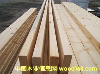 輻射松的詳細(xì)介紹