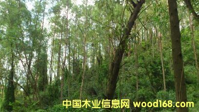 ���(sh��)��Ԕ��(x��)��B