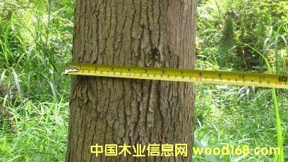 ���(sh��)��Ԕ��(x��)��B