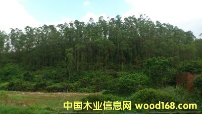 ���(sh��)��Ԕ��(x��)��B