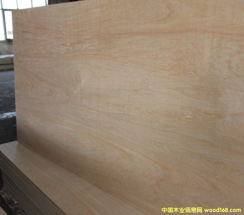 �ľ��Ԕ��(x��)��B