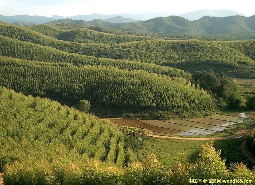 ����?j��)?y��u)�|(zh��)���ԭľ