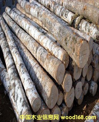 ��ľԭľ��Ԕ����B