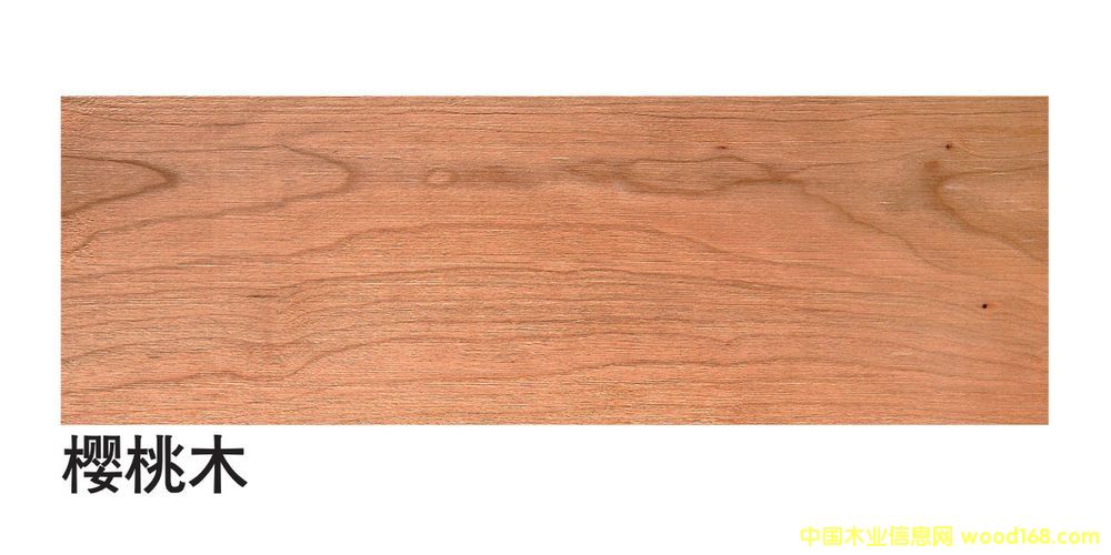 �����M�ڙ��Ұ��