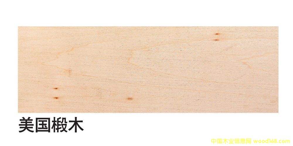 �����M(j��n)���ľ��ĵ�Ԕ��(x��)��B