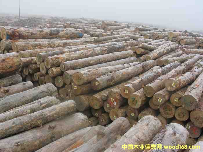 ݗ����ԭľ��Ԕ��(x��)��B