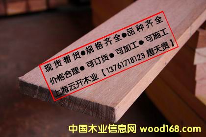 ɽ��ľ��Ԕ����B