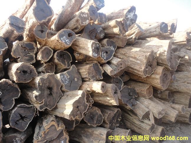 ��ľ��Ԕ��(x��)��B