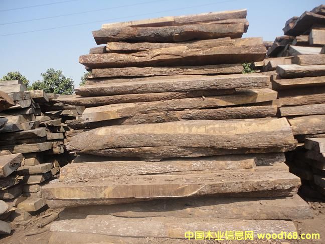 Ƥ�Ұ�ĵ�Ԕ��(x��)��B