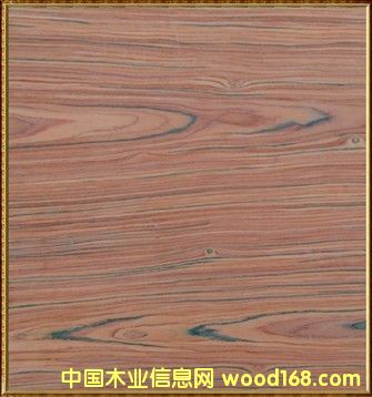 �M(j��n)����֦��Ԕ��(x��)��B