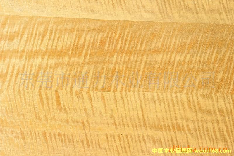 ��Ӱ��Ԕ��(x��)��B