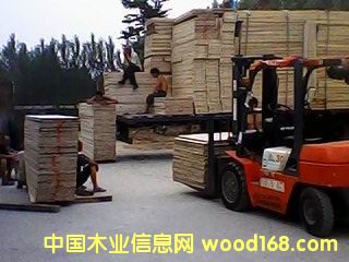 ͩľƴ���Ԕ����B