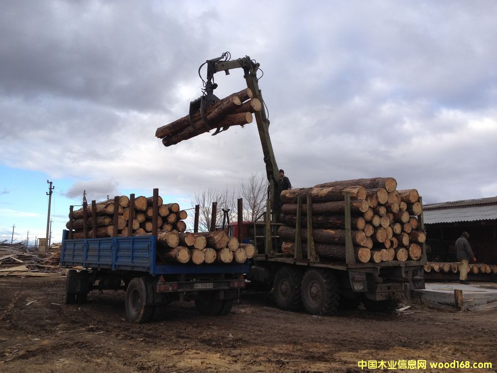 �����ɰ�ĵ�Ԕ����B