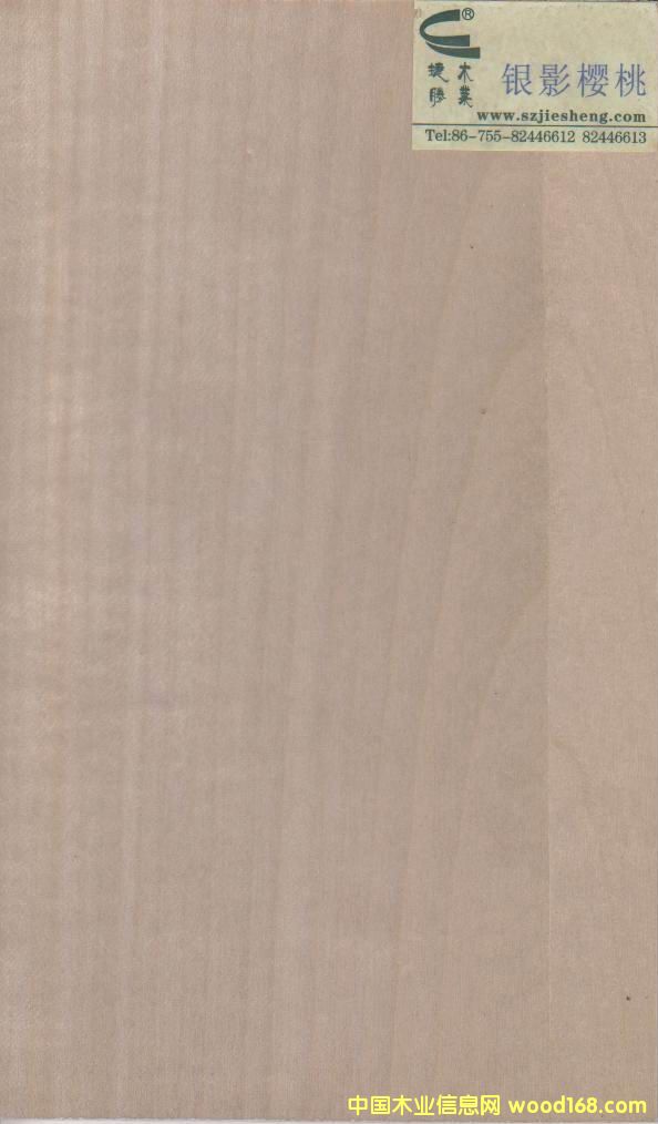 �yӰ���ҵ�Ԕ����B