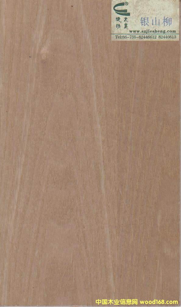 �yɽ����Ԕ����B