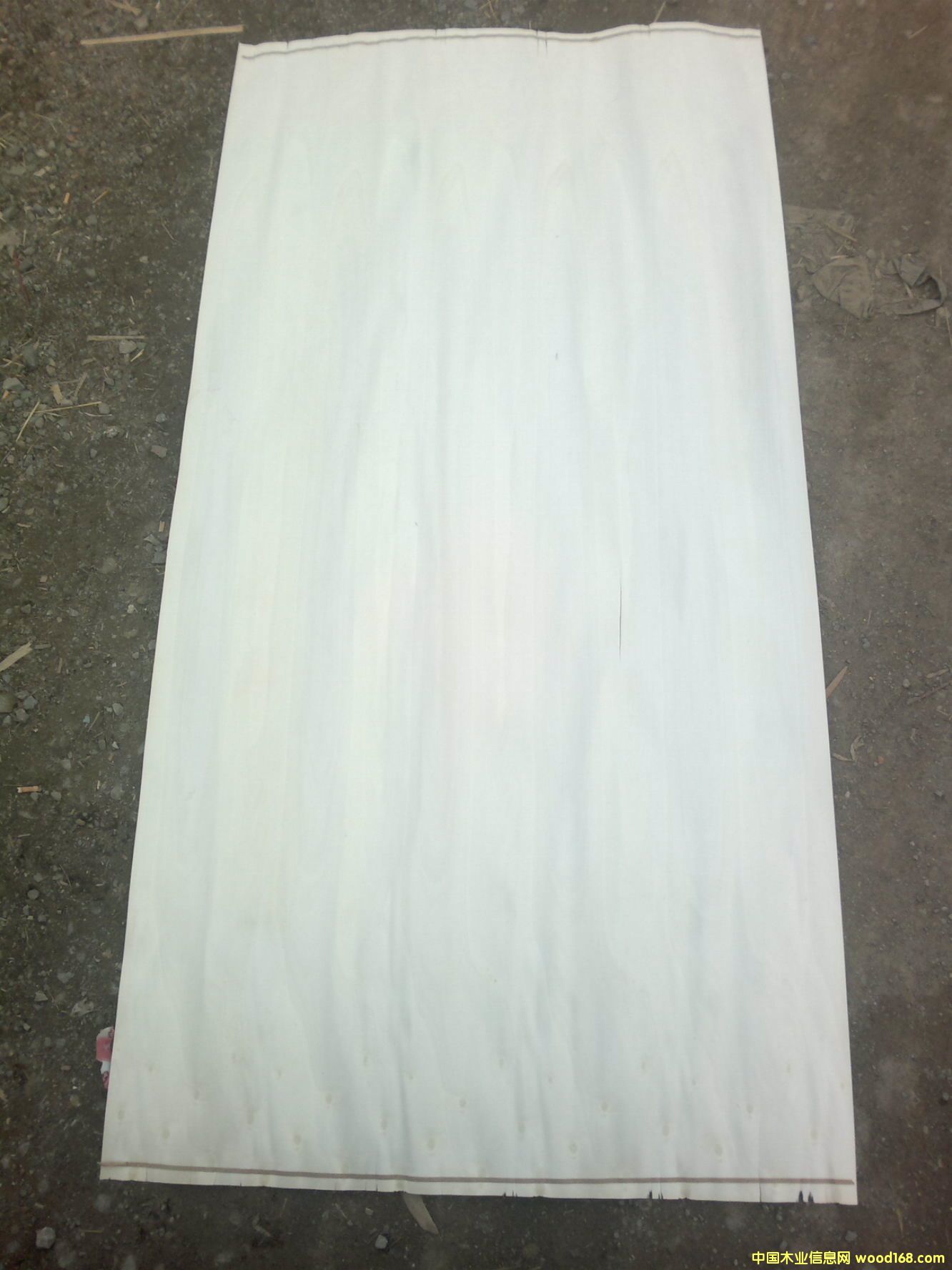 Ư�ח�ľ��Ƥ��Ԕ��(x��)��B