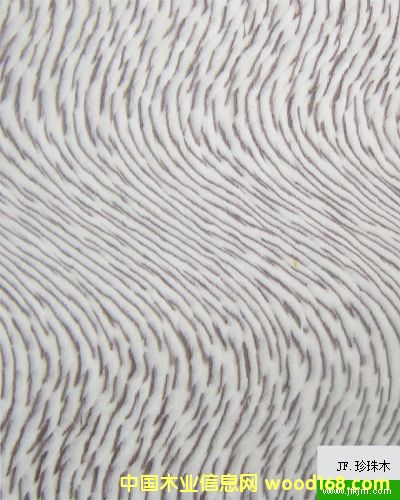 ����ľ��Ԕ��(x��)��B