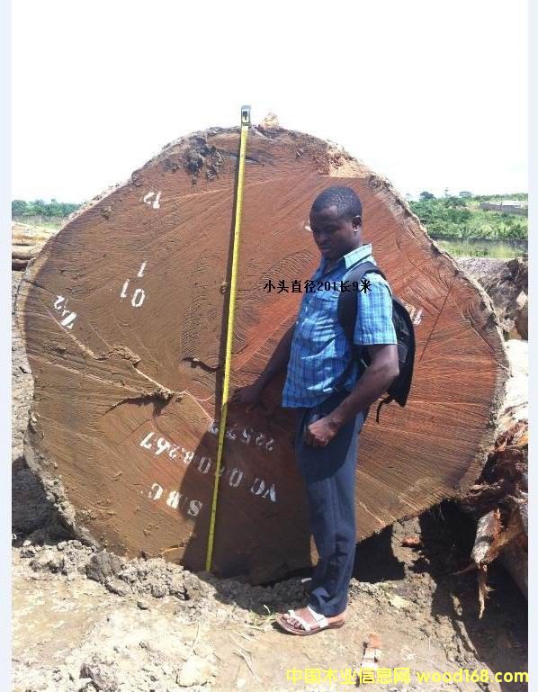 �ͻ���Ԕ��(x��)��B