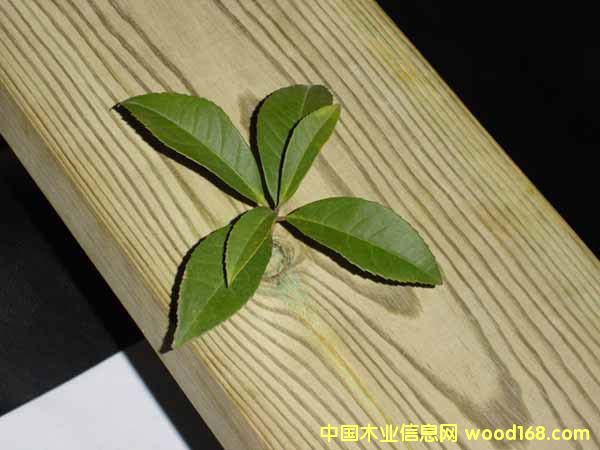 �����ɵ�Ԕ����B