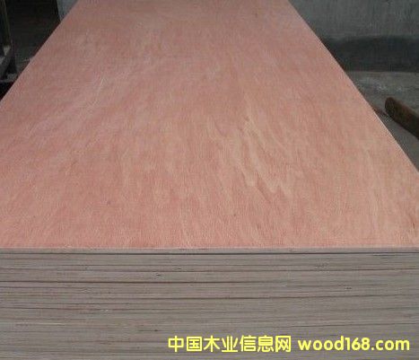 [��] һ�γ��ͷ���о���b������15��E2�z���b��