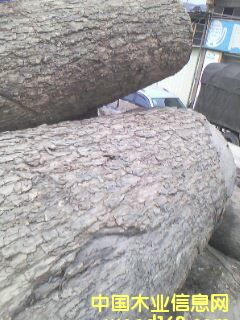 ����ԭľ��Ԕ��(x��)��B