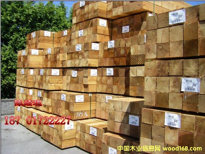 �tѩ�ɰ�ķ�ľ��Ԕ��(x��)��B