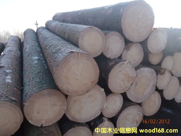 ��ɼ��Ԕ��(x��)��B