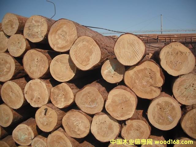 �����ɵ�Ԕ��(x��)��B