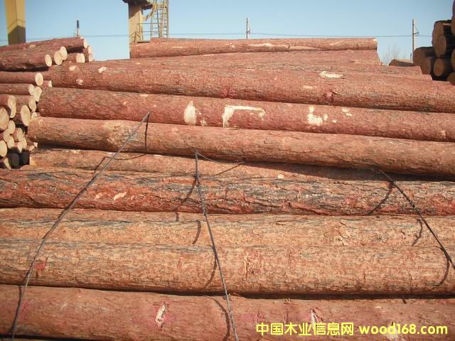 ���~�ɵ�Ԕ��(x��)��B