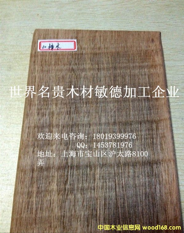 ɽ��ľ��Ԕ��(x��)��B