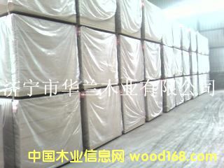 �ܶȰ��Ԕ����B