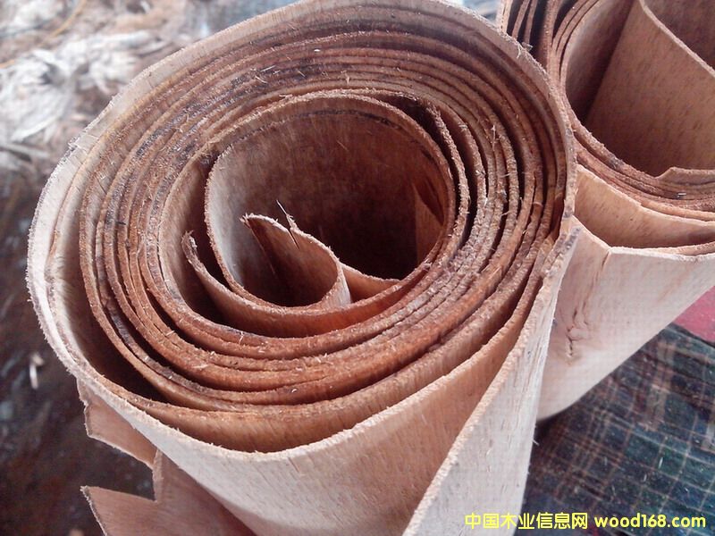 桉木單板的詳細(xì)介紹