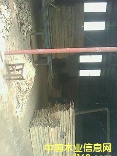 �S���Ԕ��(x��)��B