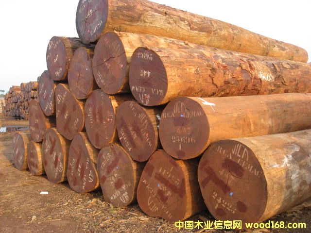 Tiama �����