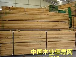 �t���Ԕ��(x��)��B