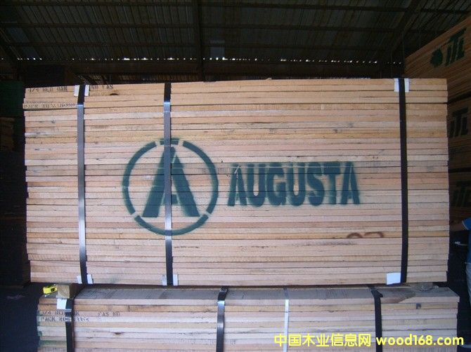 美國紅橡的詳細介紹