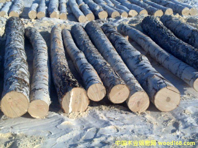 ���_˹��ľ��ĵ�Ԕ��(x��)��B