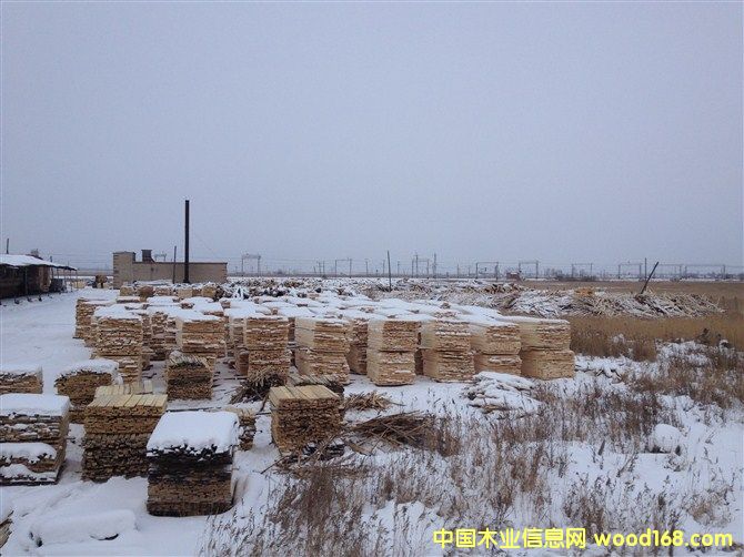 ���_˹��ľ��ĵ�Ԕ��(x��)��B