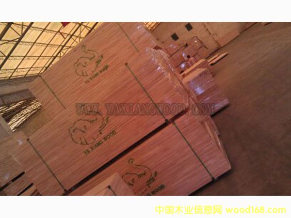 �M��̩�����zľָ�Ӱ�