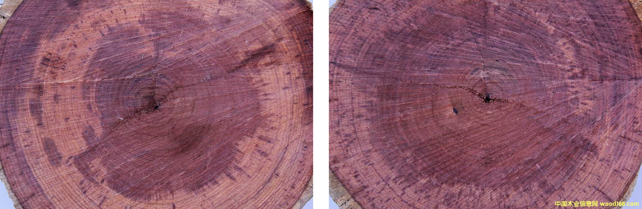 ��֦ľ��Ԕ��(x��)��B