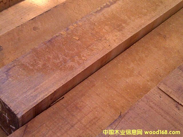 ӡ���һ�оľ��Ԕ��(x��)��B