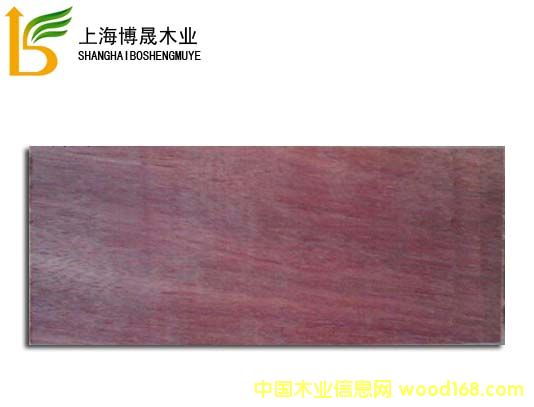 ɽ��ľ��Ԕ��(x��)��B