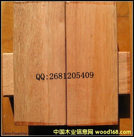 [��] �Ϻ���(y��u)�|(zh��)����ľ������ľ�N�������ľ�|(zh��)����Σ�����ľ�ÏS��