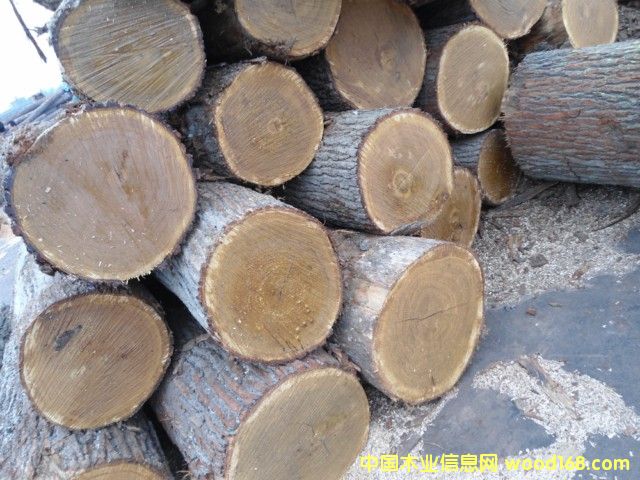 ���м�(j��)����ԭľ