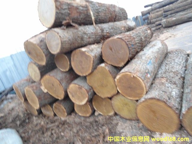 ���м�����ԭľ