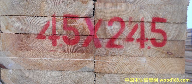 ���~������