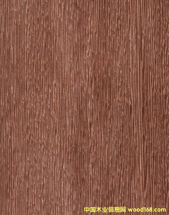 ��ľC��Ԕ����B