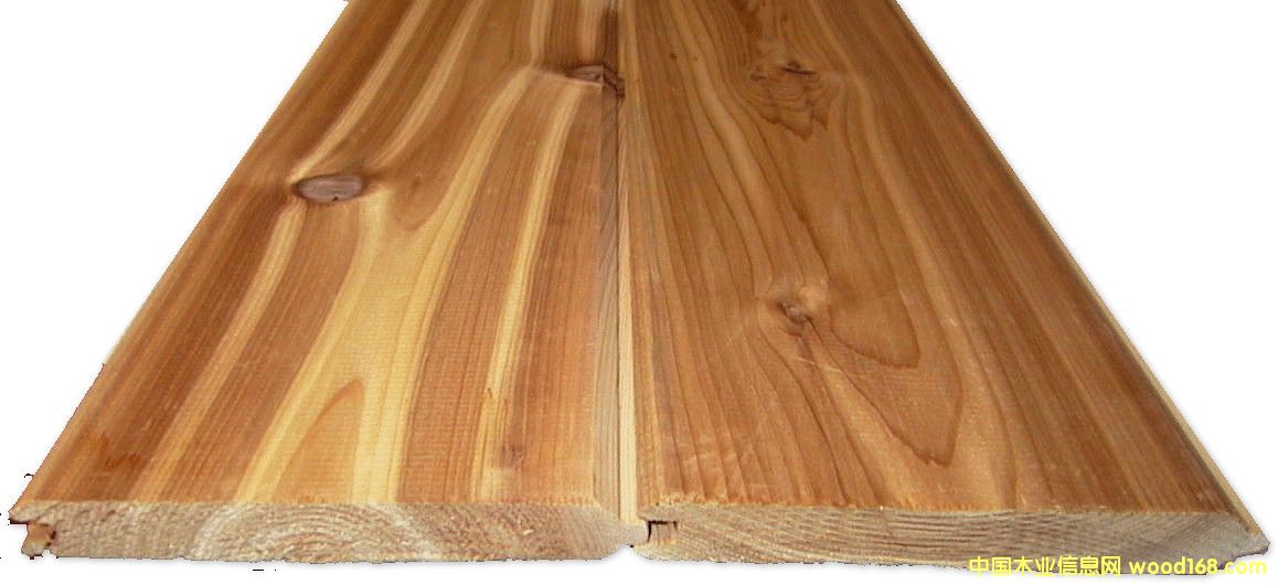 �tѩ���≦���Ԕ��(x��)��B