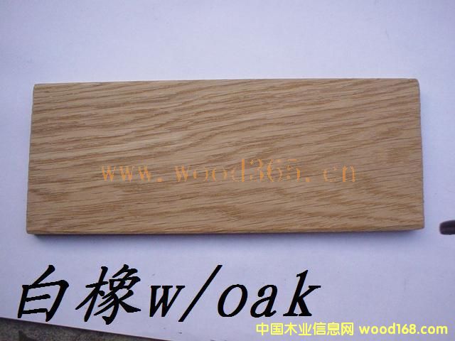 ����ľ��Ԕ��(x��)��B